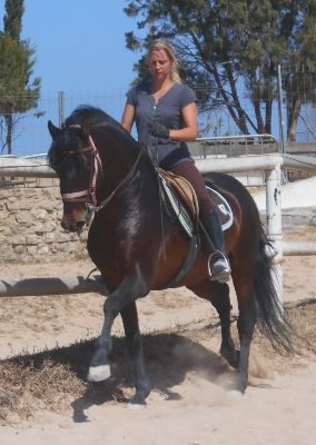 Reiten auf dem spanischem Pferd