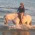 Reiten am Wasser