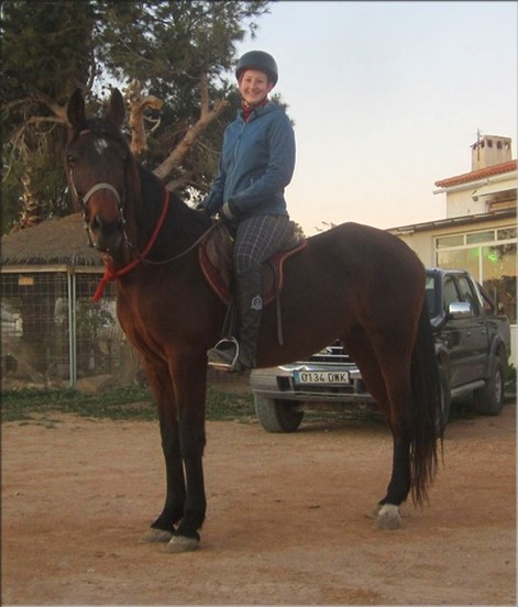 Andalusierstute
