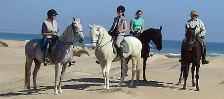 Ausritt in die Dünen und an den Strand Ausritt in die Dünen und an den Strand