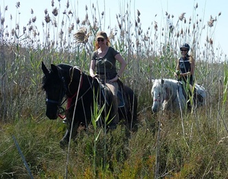 Andalusische Pferde
