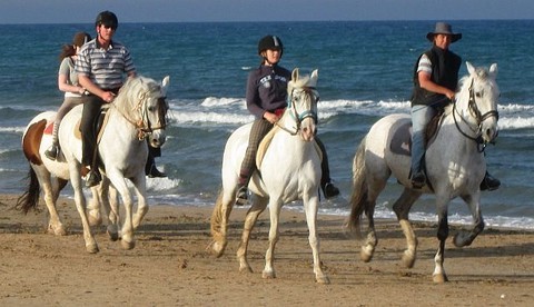 Horse riding on the beach