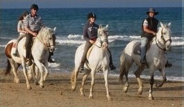 Strandreiten und Badeurlaub an der See