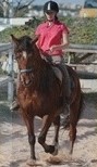 Reiterurlaub mit Unterricht im Reiten