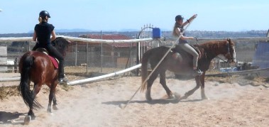 Mit der Garrocha auf dem Reitplatz