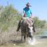 Trailreiten in Spanien