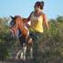 Pony