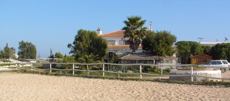 Pferde reiten am Strand