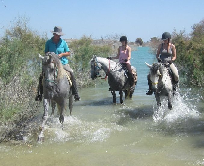 Reiten am Meer