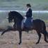 Spanische Reitweise