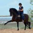 Spanische Reitweise
