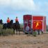 Trailreiten