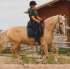 Reiten auf einem andalusischen Pferd