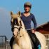 Andalusisches Pferd