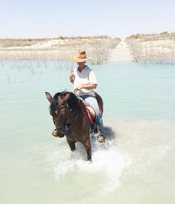Trailreiten auf dem Pferd