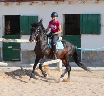 Reiten auf Spanischem Hengst