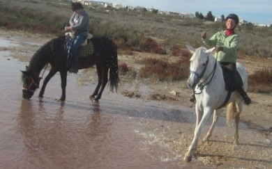 Trailreiten in Andalusien