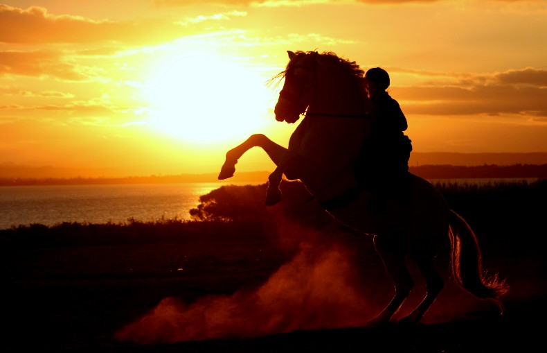 Reiten an der Lagune